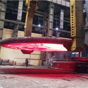 Large nuclear tube plate forgings